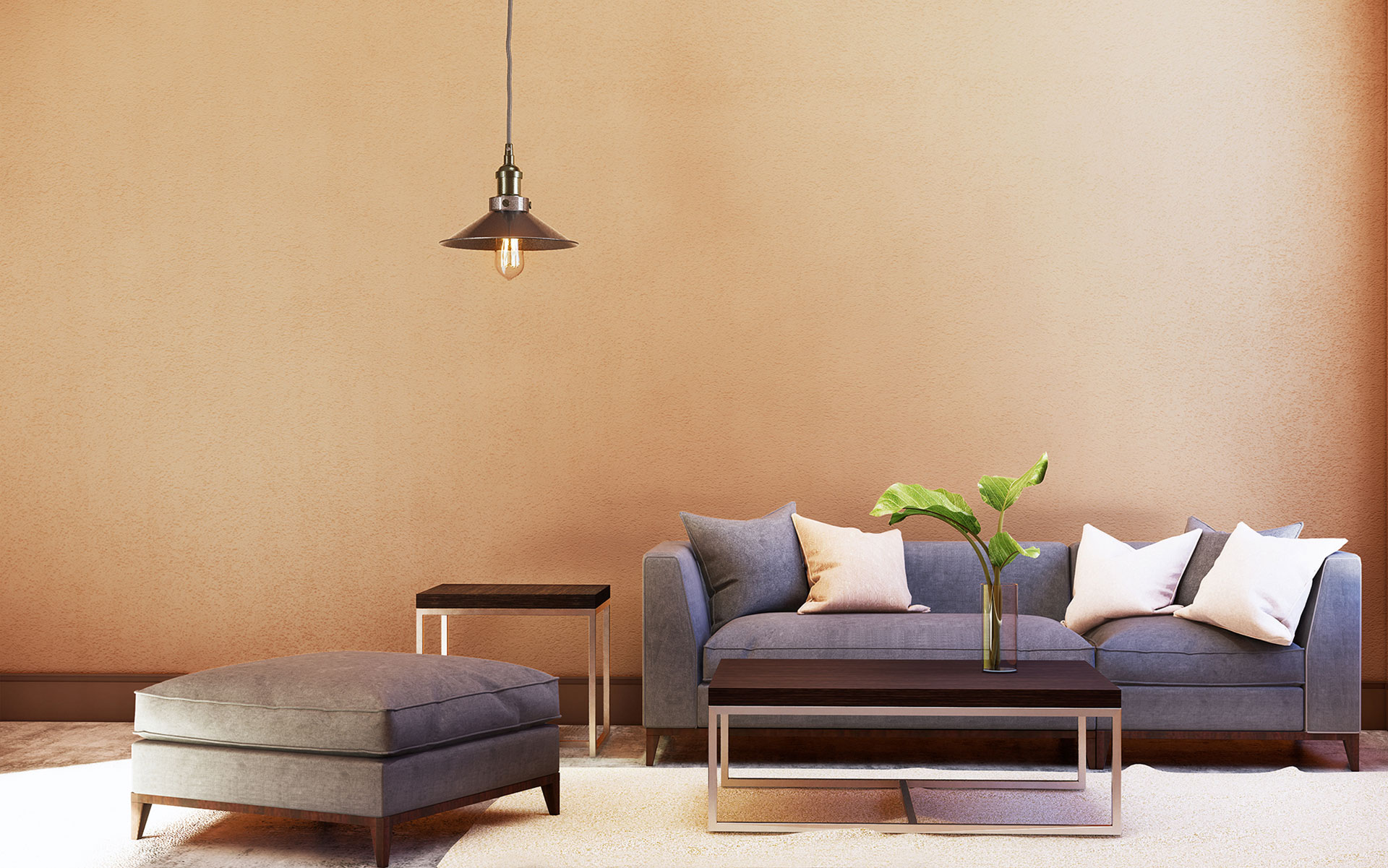 Samosa Party Stores – 8–10 outlets executed